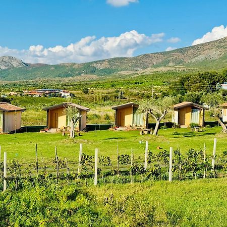 Fishta Guesthouse - Mrizi I Zanave Fishte エクステリア 写真