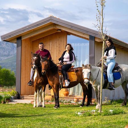 Fishta Guesthouse - Mrizi I Zanave Fishte エクステリア 写真