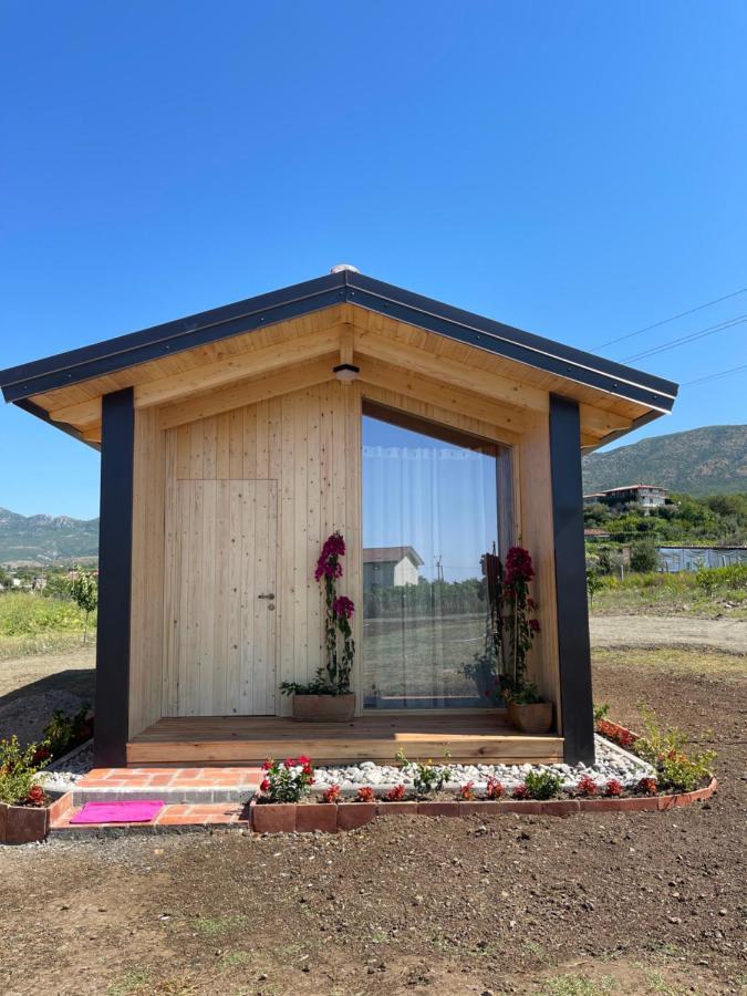 Fishta Guesthouse - Mrizi I Zanave Fishte エクステリア 写真