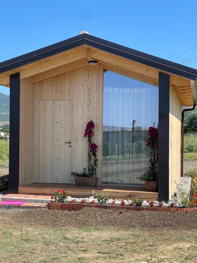 Fishta Guesthouse - Mrizi I Zanave Fishte エクステリア 写真