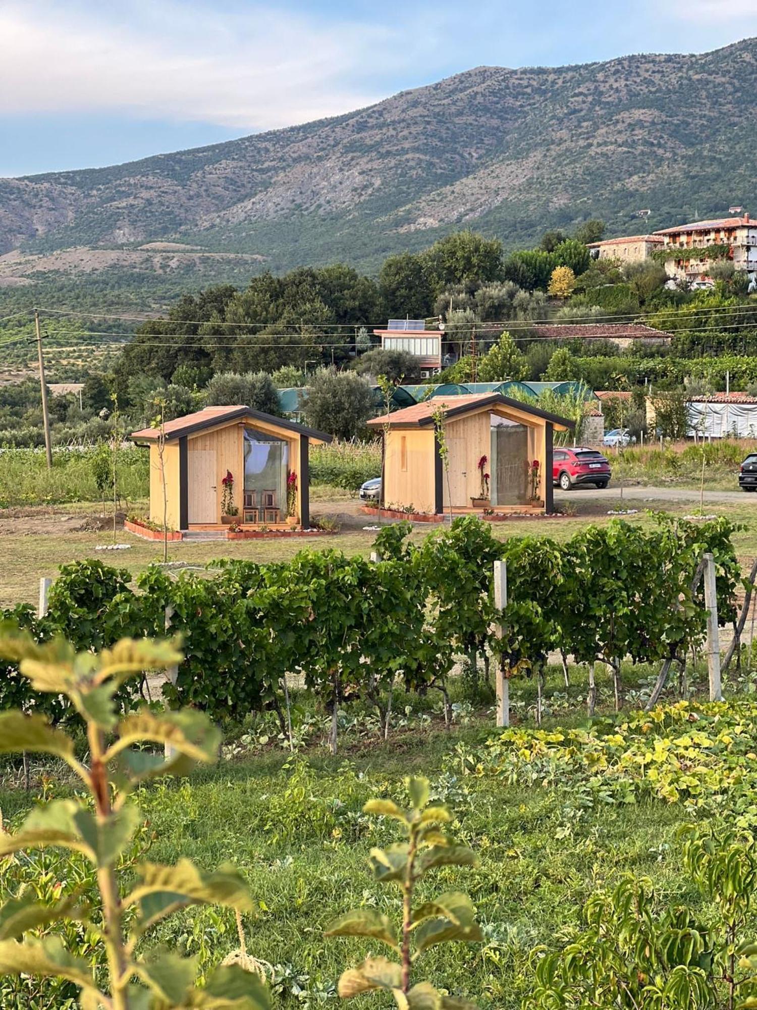 Fishta Guesthouse - Mrizi I Zanave Fishte エクステリア 写真