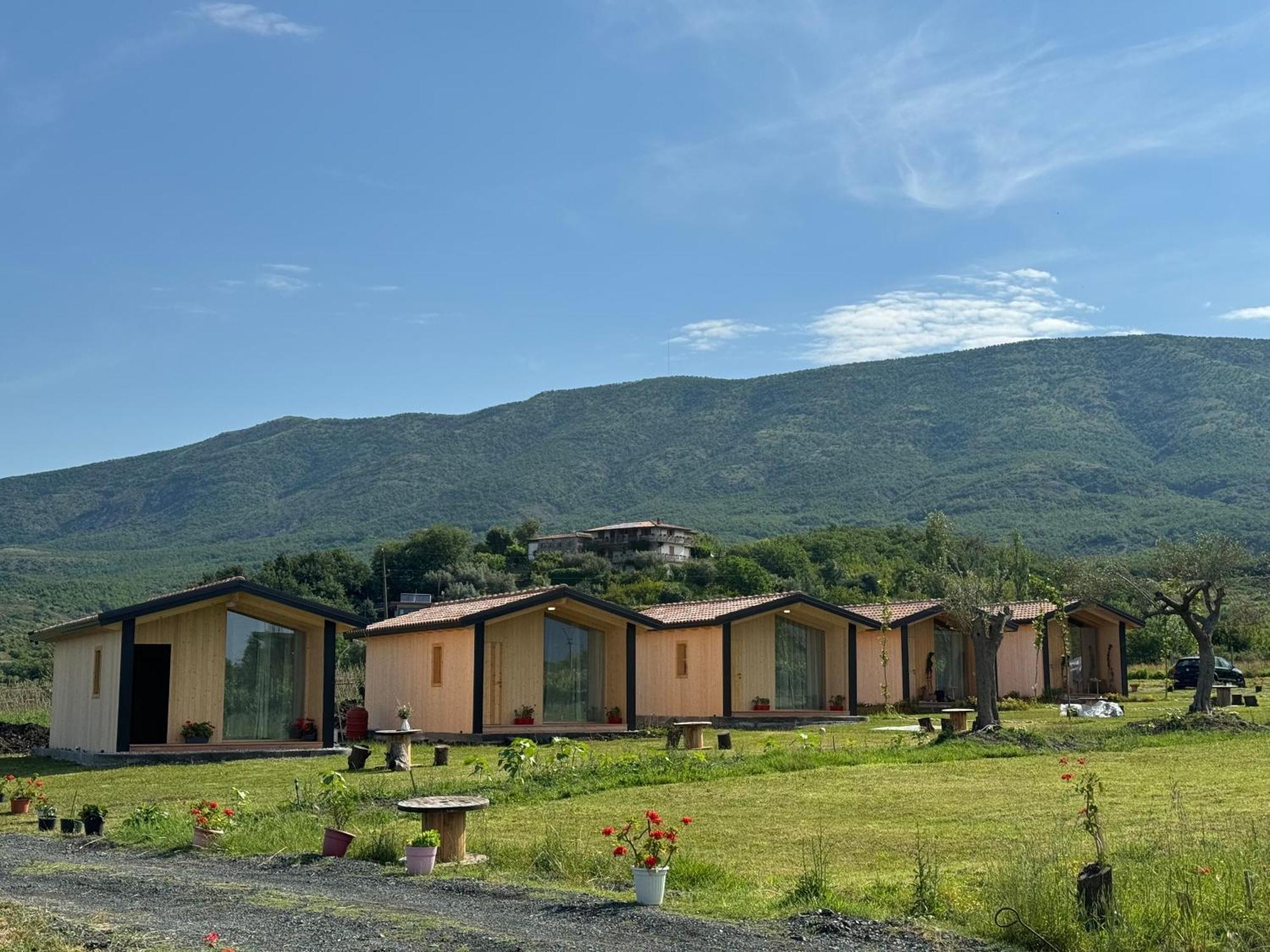Fishta Guesthouse - Mrizi I Zanave Fishte エクステリア 写真