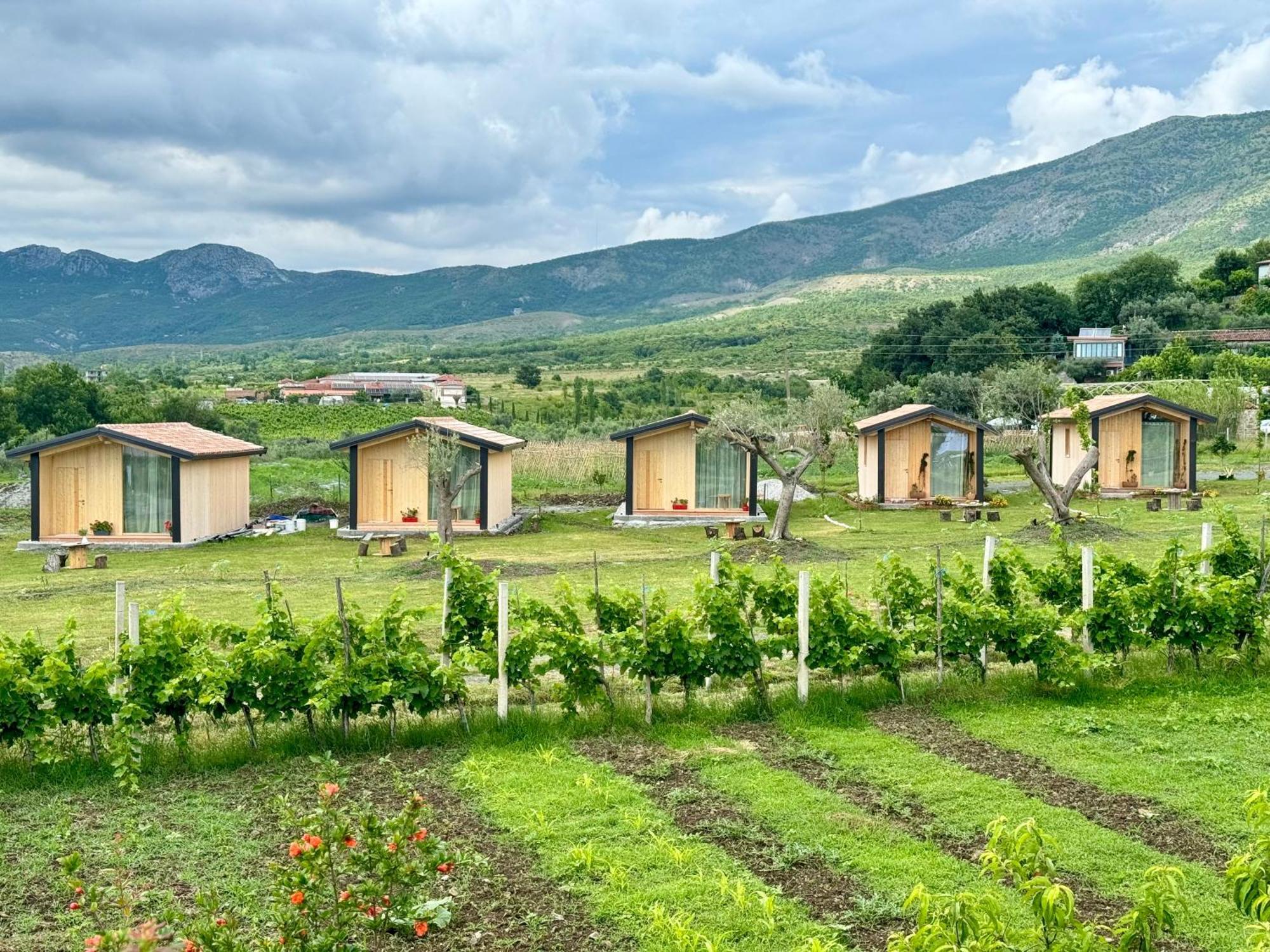 Fishta Guesthouse - Mrizi I Zanave Fishte エクステリア 写真