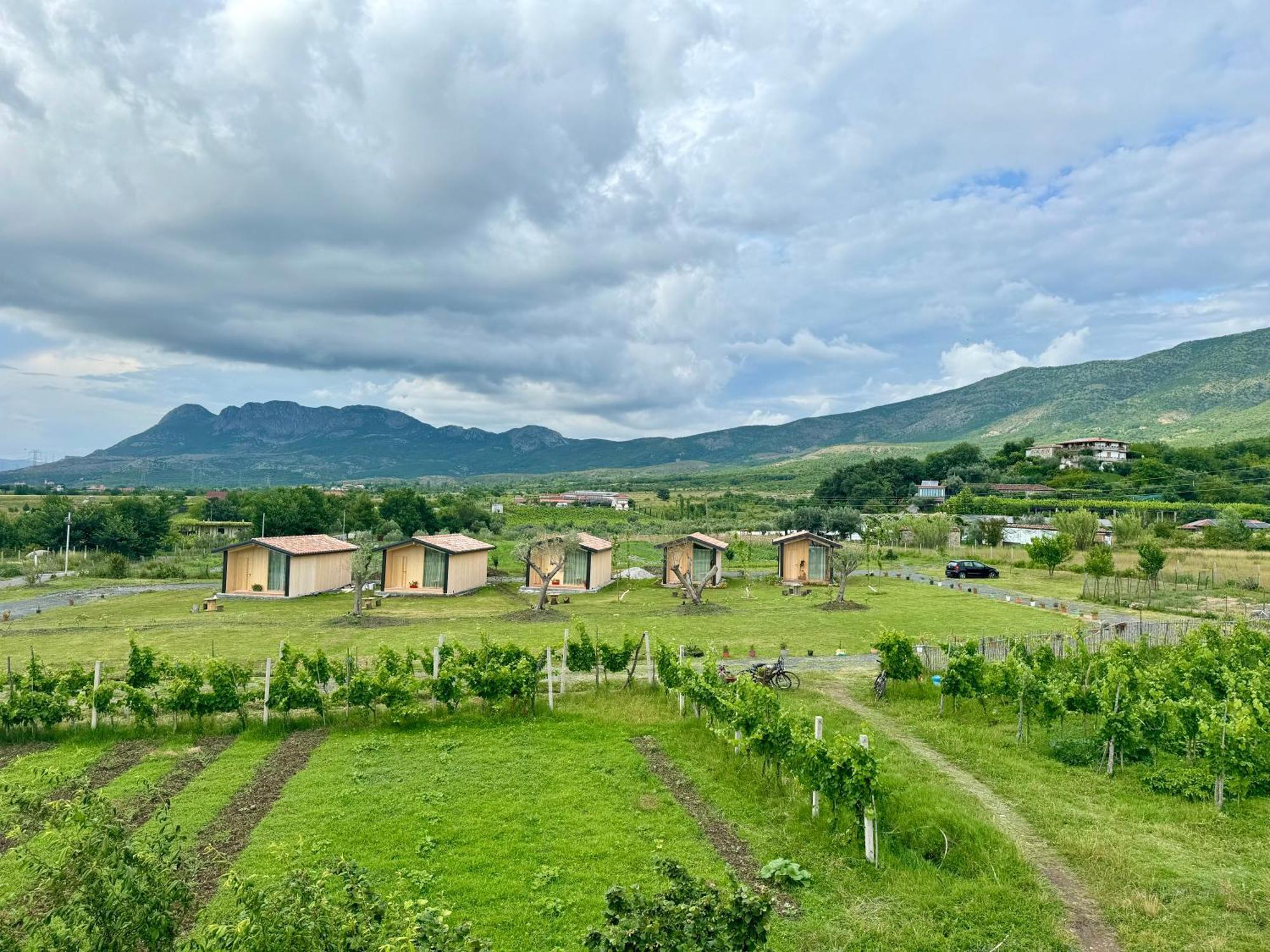 Fishta Guesthouse - Mrizi I Zanave Fishte エクステリア 写真
