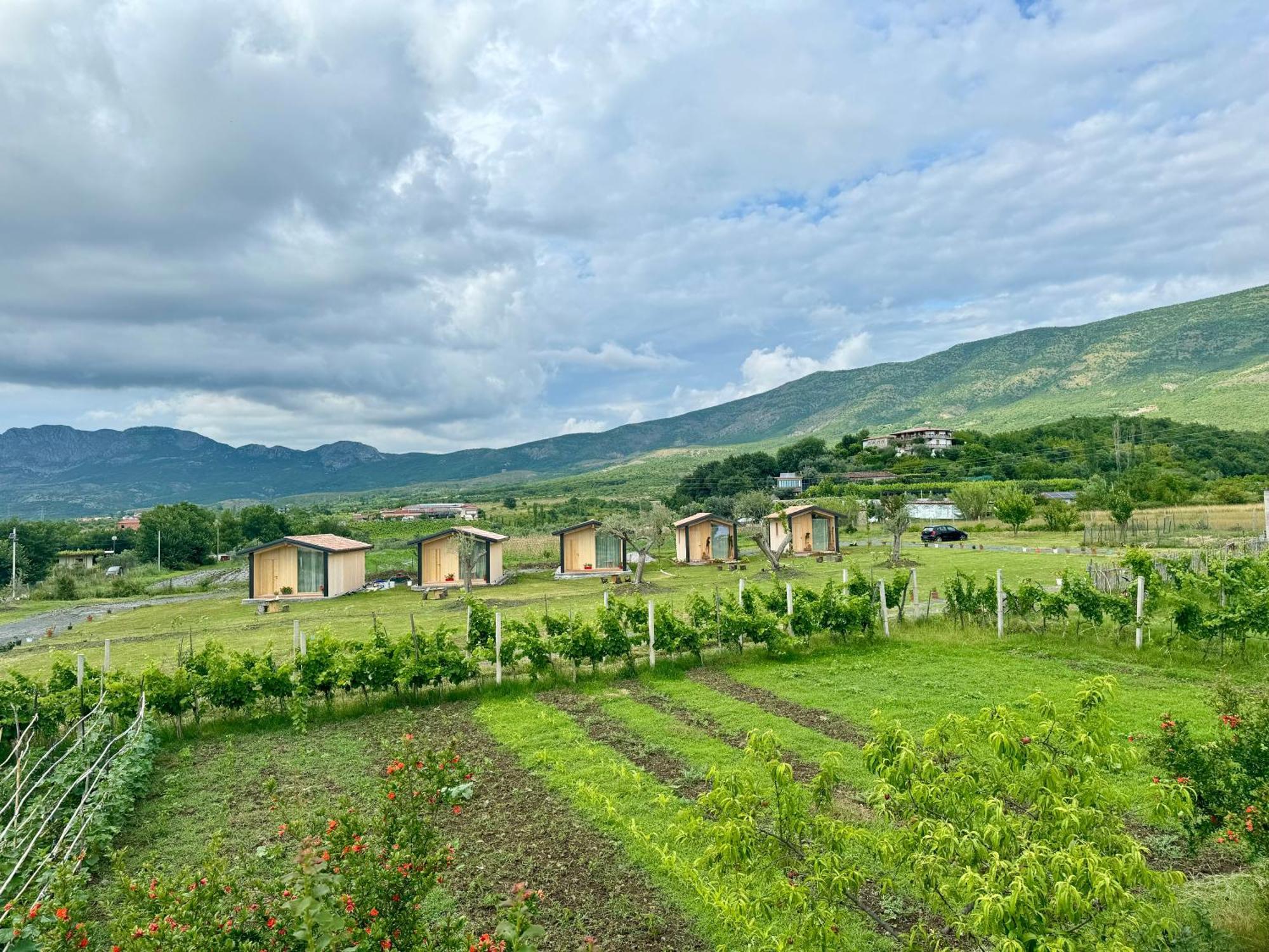 Fishta Guesthouse - Mrizi I Zanave Fishte エクステリア 写真