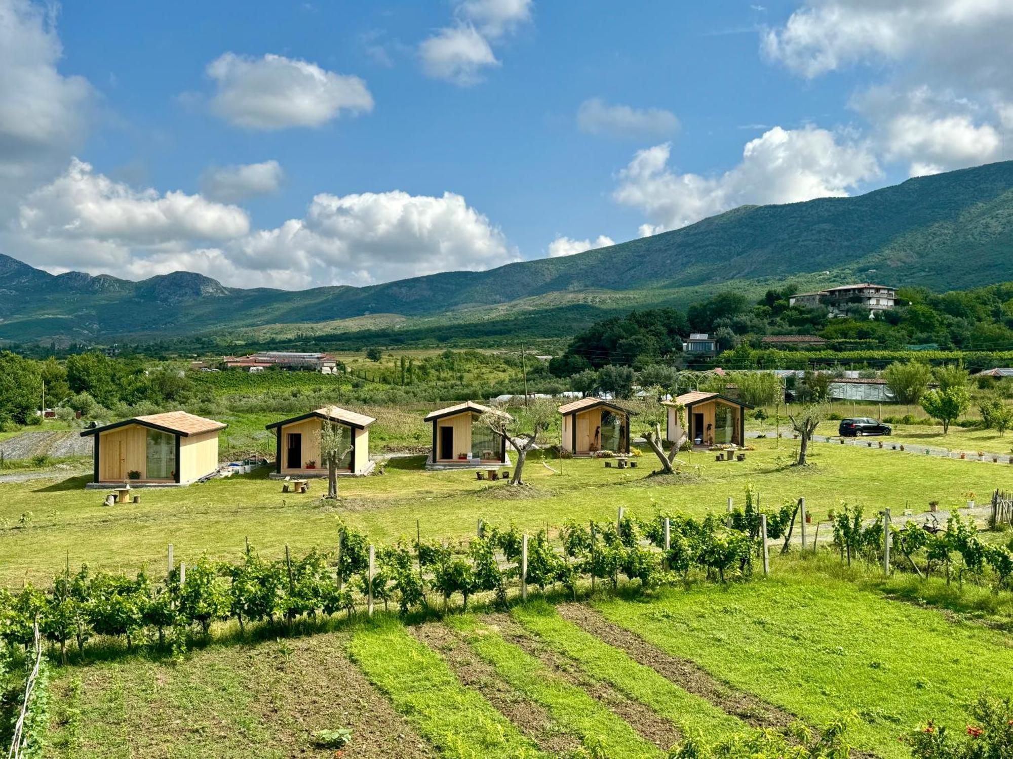 Fishta Guesthouse - Mrizi I Zanave Fishte エクステリア 写真