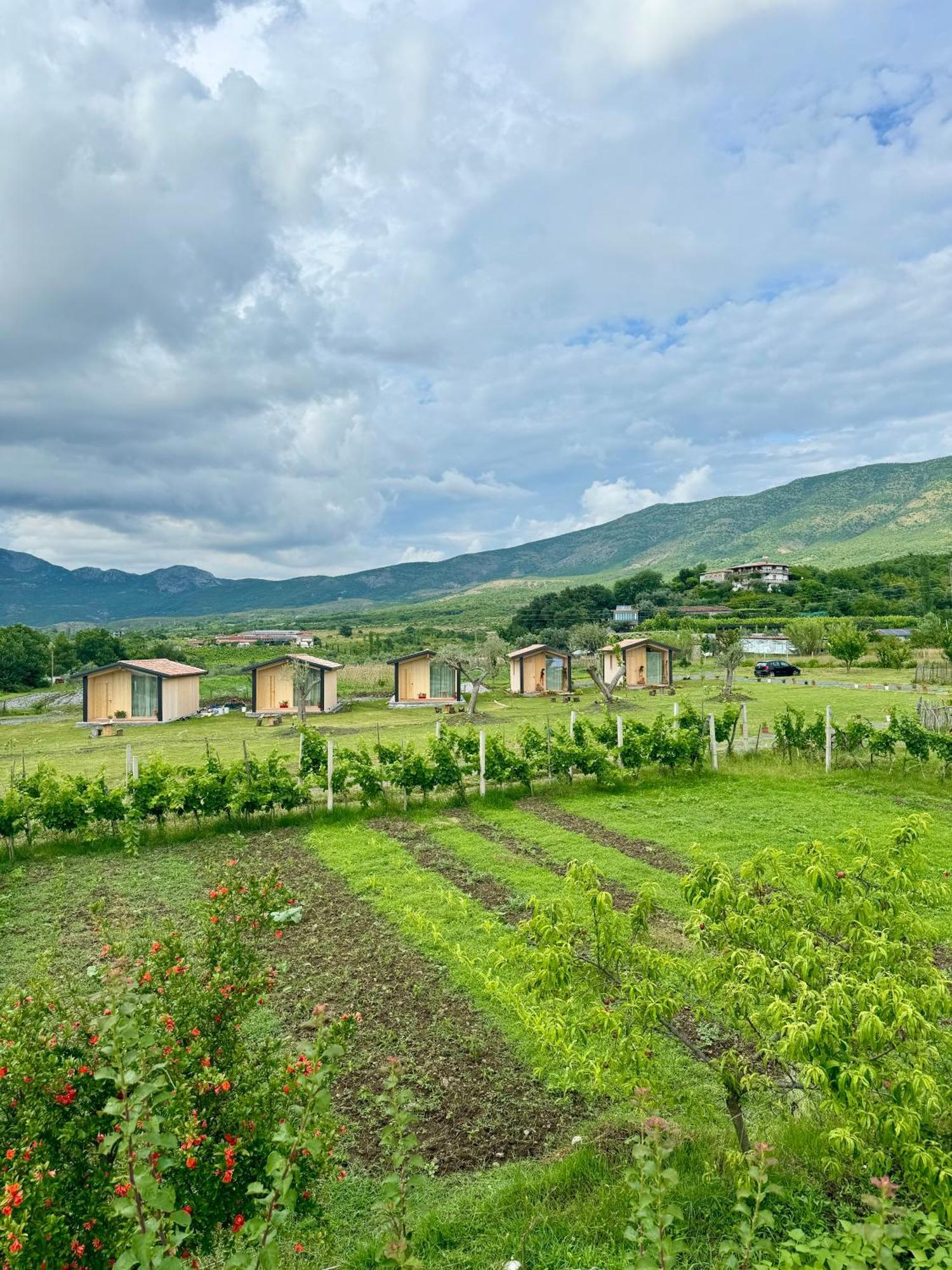 Fishta Guesthouse - Mrizi I Zanave Fishte エクステリア 写真