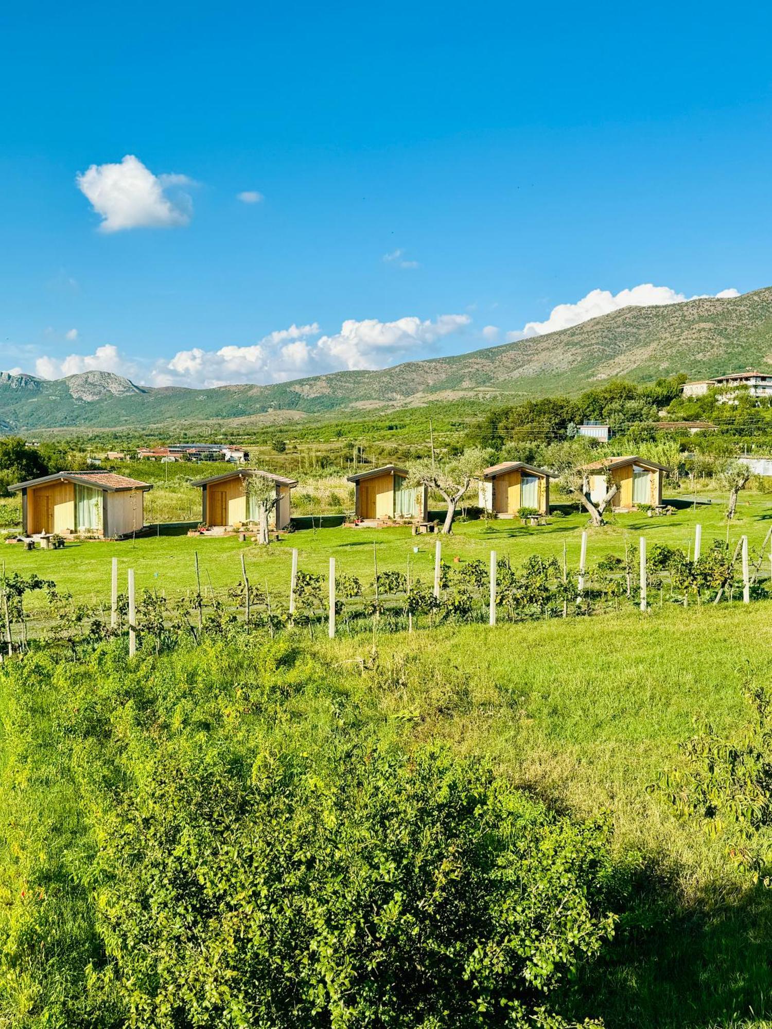 Fishta Guesthouse - Mrizi I Zanave Fishte エクステリア 写真