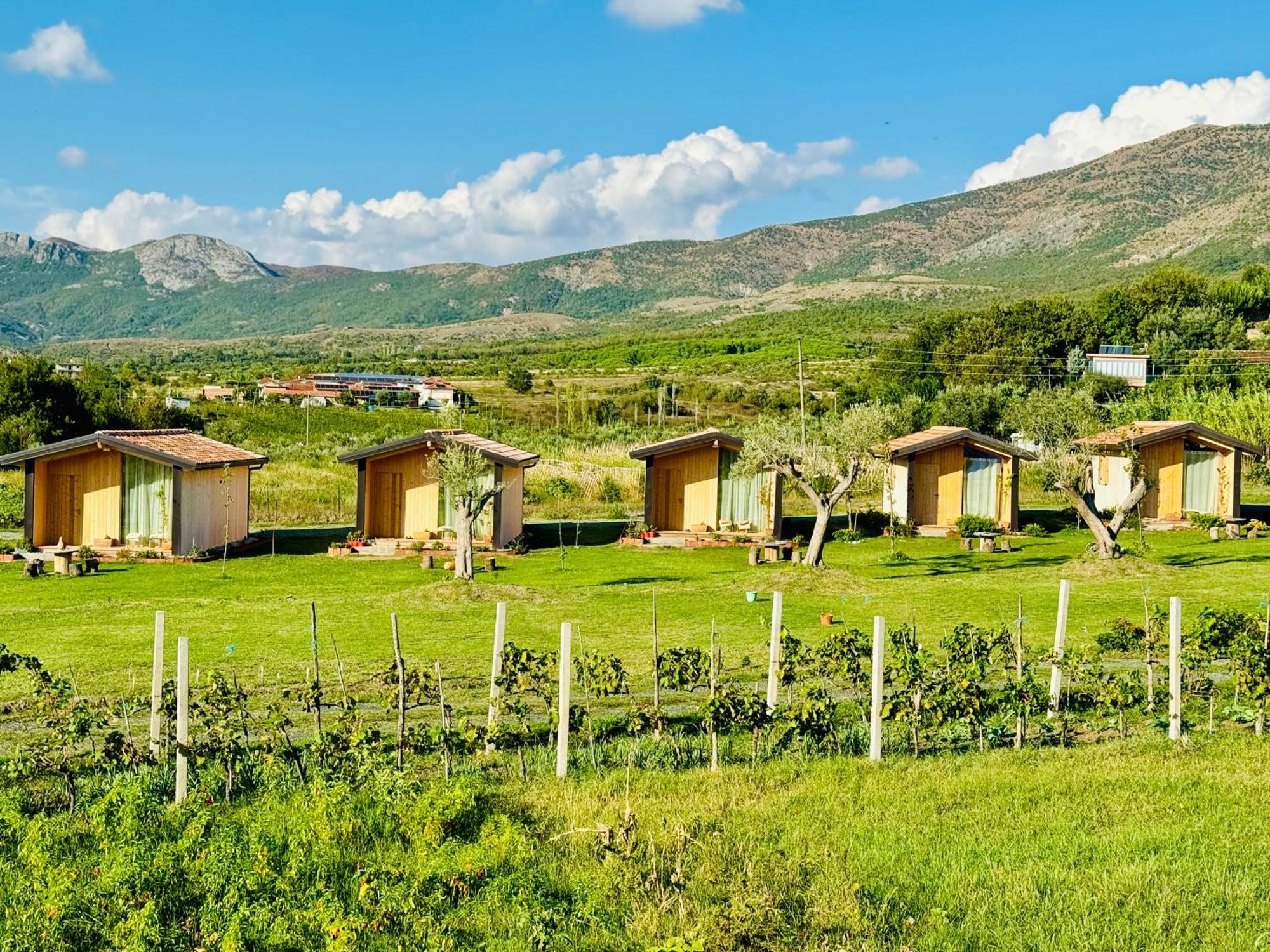 Fishta Guesthouse - Mrizi I Zanave Fishte エクステリア 写真