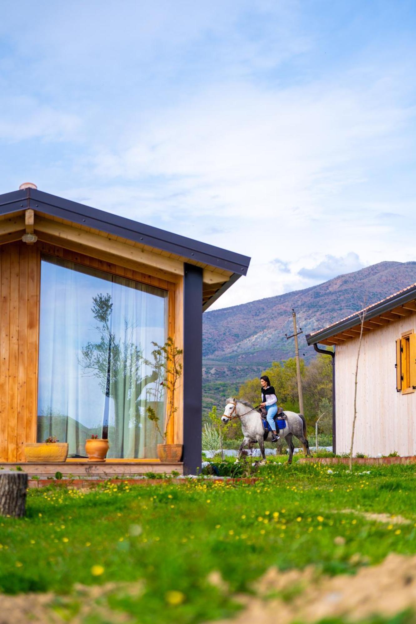 Fishta Guesthouse - Mrizi I Zanave Fishte エクステリア 写真